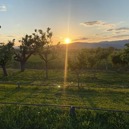 S T D -paradiso- Vakantiehuis Vranje