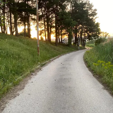 S T D -paradiso- * Vranje