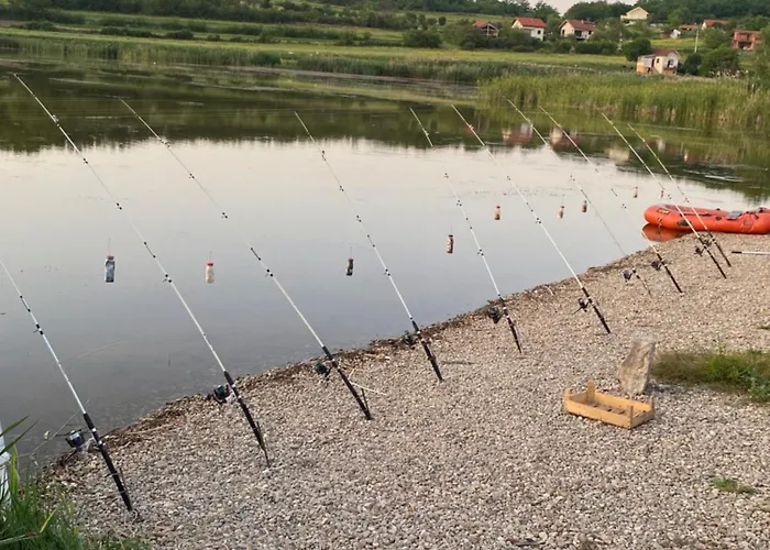 S T D -paradiso- 度假居 *