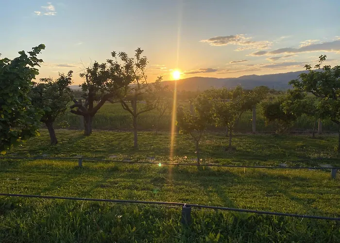 S T D -paradiso- 度假居 弗拉涅