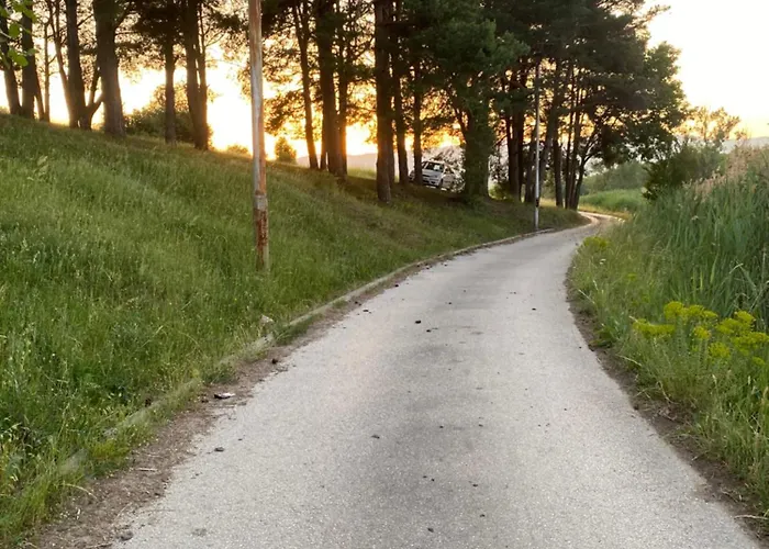 S T D -paradiso- * 弗拉涅