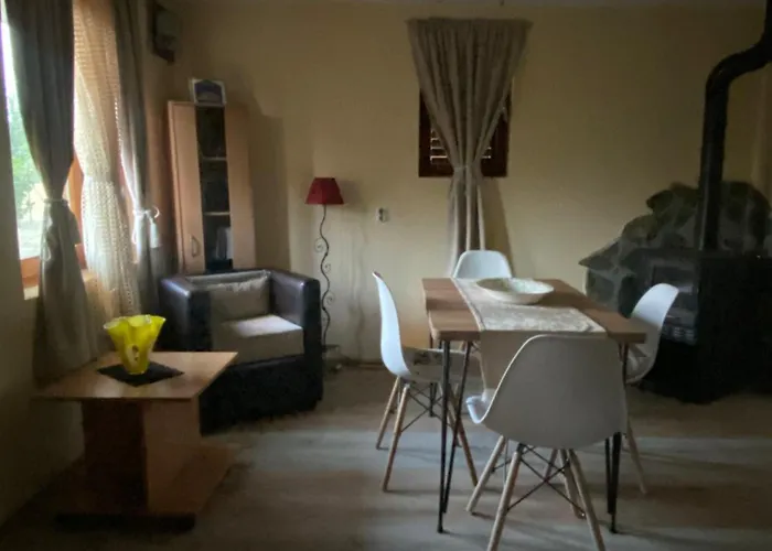 S T D -paradiso- * 弗拉涅