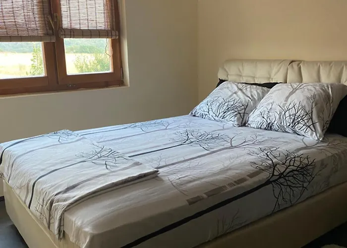 S T D -paradiso- 度假居 *